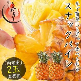 スナックパイン 2玉 沖縄県産 パインアップル
