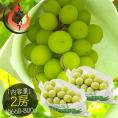 シャインマスカット 2房（約660g?800g）