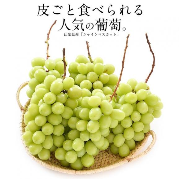 シャインマスカット 2房（約660g?800g）02