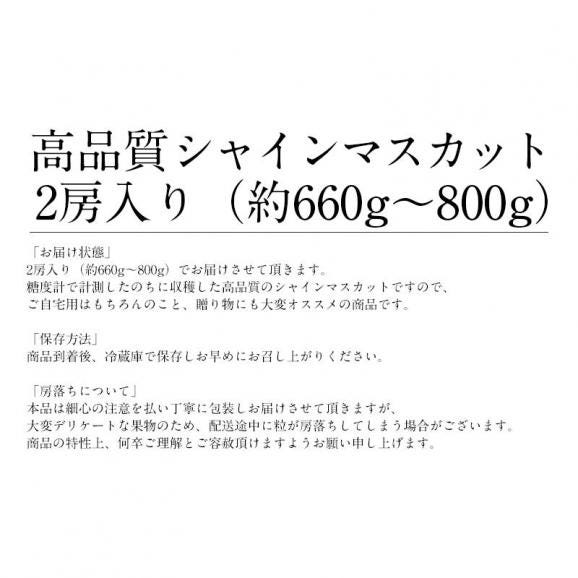 シャインマスカット 2房（約660g?800g）05
