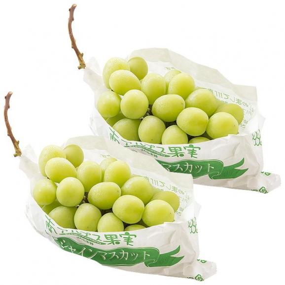シャインマスカット 2房（約660g?800g）06