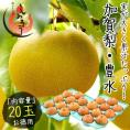 梨 豊水 加賀梨 20玉 石川県産 （着日指定不可）