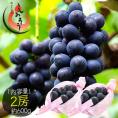 ぶどう ナガノパープル 2房（約600g） ブドウ