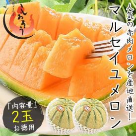 メロン マルセイユメロン 福井 さばえ夢てまり 2L 2玉 福井県産