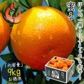 蜜る いよかん 伊予柑 特秀 3L 9kg 愛媛県産