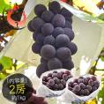 巨峰 ぶどう 2房（約1kg） 種無し 山梨県産
