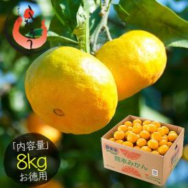 みかん 熊本みかん 8kg 夢未来 熊本県産