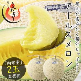 メロン アールスメロン 2玉 秀等級 大玉 3L 福井県産