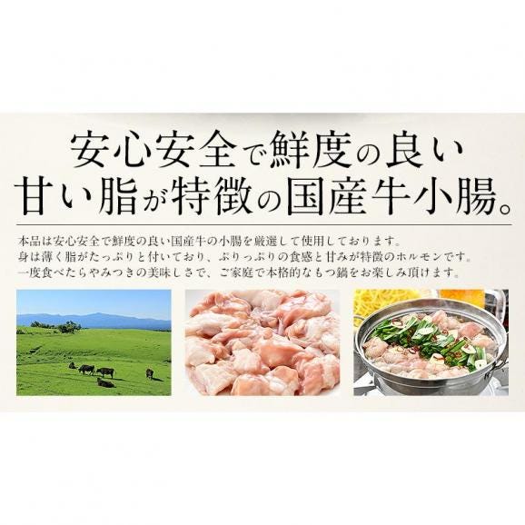 もつ鍋 取り寄せ 博多 もつ鍋セ ット 2箱03
