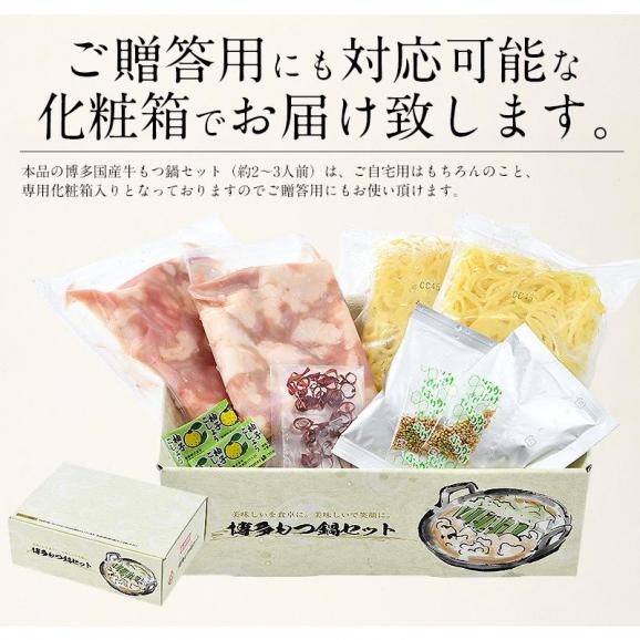 もつ鍋 取り寄せ 博多 もつ鍋セ ット 2箱06