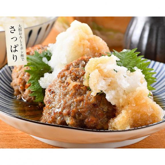 ハンバーグ 1.2kg（120g×10個）手づくり風06
