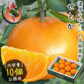 せとか みかん 3L 10個入り 愛媛県産 （着日指定不可）