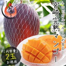 マンゴー 宮崎 完熟マンゴー 2L×2玉 宮崎県産