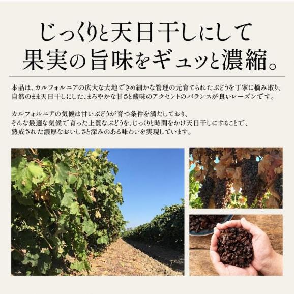 レーズン ノンオイル 800g 無添加 砂糖不使用04