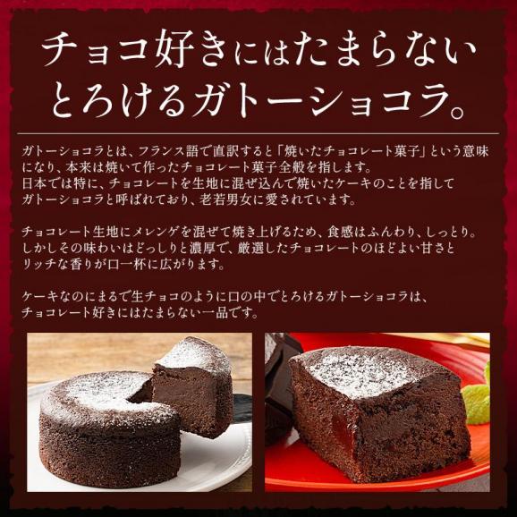 ガトーショコラ 340g 2?3人前 12cm 4号03
