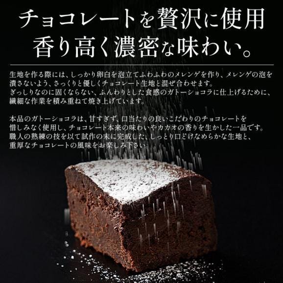 ガトーショコラ 340g 2?3人前 12cm 4号04
