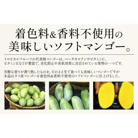 バナナチップス＆ソフトマンゴー 500g05