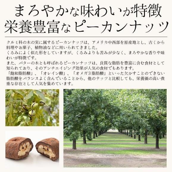 ピーカンナッツ ココア掛け 100g（1袋）03