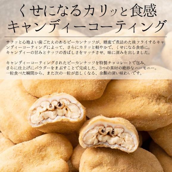 ピーカンナッツ ココア掛け 100g（1袋）04