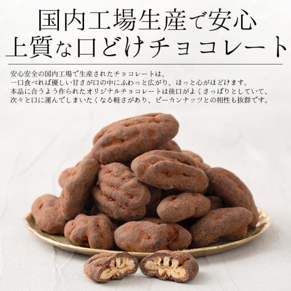 ピーカンナッツ ココア掛け 100g（1袋）05