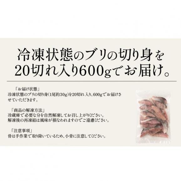 ブリ 鰤 骨取り 切り身 30g×20切 無塩 国産05