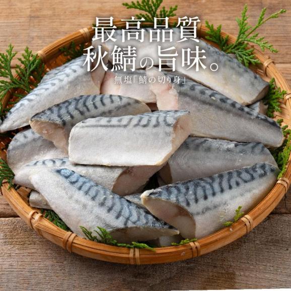 さば 鯖 骨取り 切り身 30g×20切 無塩 ノルウェー産 サバ02