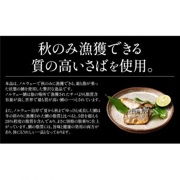 さば 鯖 骨取り 切り身 30g×20切 無塩 ノルウェー産 サバ03