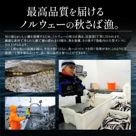 さば 鯖 骨取り 切り身 30g×20切 無塩 ノルウェー産 サバ04
