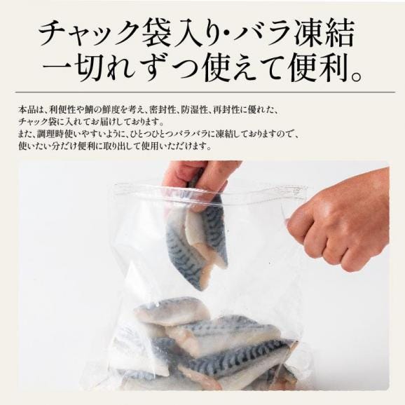 さば 鯖 骨取り 切り身 30g×20切 無塩 ノルウェー産 サバ05