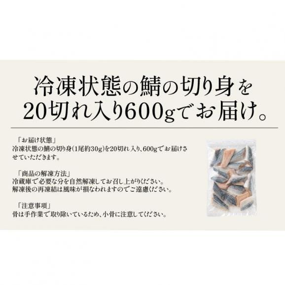 さば 鯖 骨取り 切り身 30g×20切 無塩 ノルウェー産 サバ06