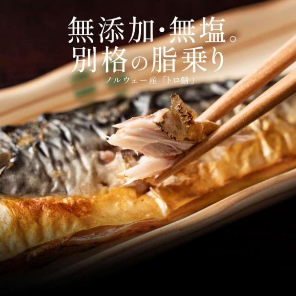 さば 無添加 無塩 トロさば サバ 鯖 約1kg(6?8尾）02