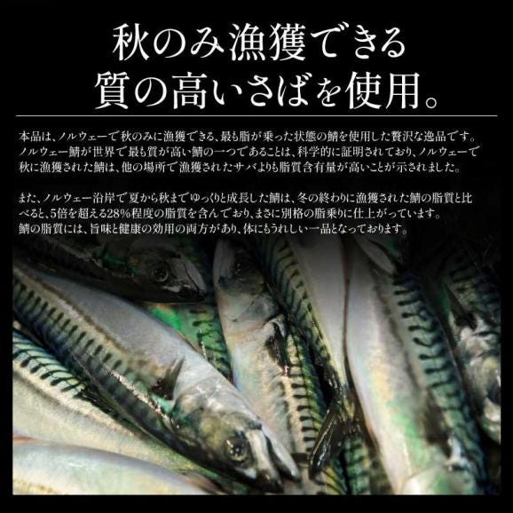 さば 無添加 無塩 トロさば サバ 鯖 約1kg(6?8尾）03