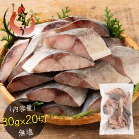 鯵 アジ 骨取り 切り身 30g×20切 無塩 天然 骨なし