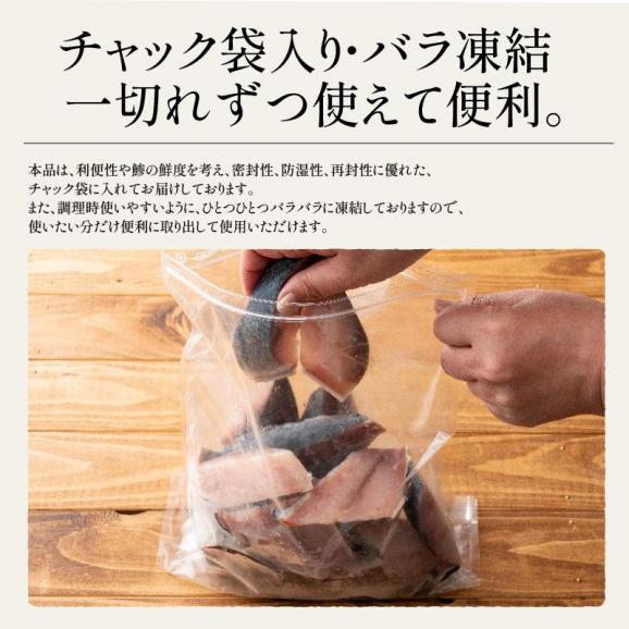 鯵 アジ 骨取り 切り身 30g×20切 無塩 天然 骨なし05