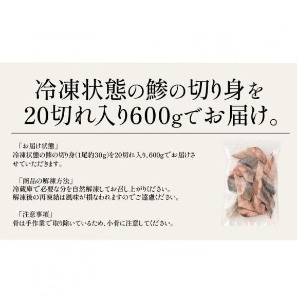 鯵 アジ 骨取り 切り身 30g×20切 無塩 天然 骨なし06