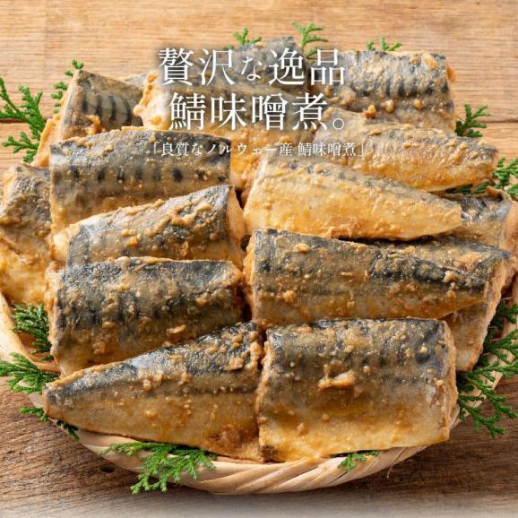さば 味噌煮 トロさば サバ 鯖 10枚入り 永平寺味噌02