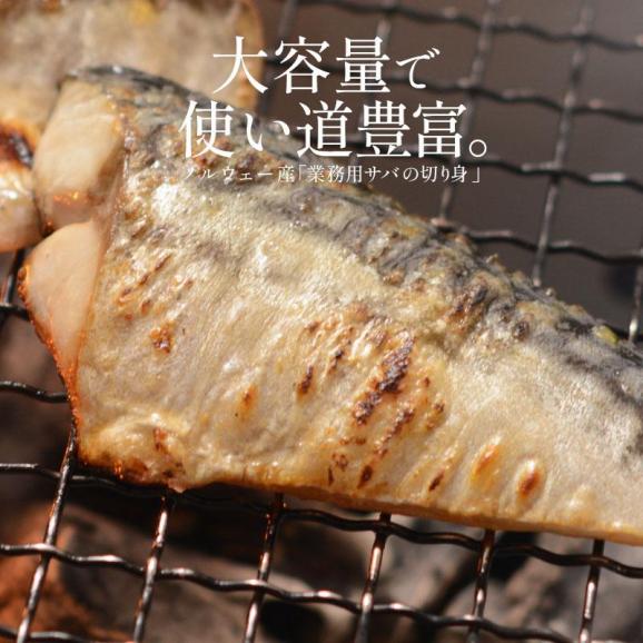 さば 無添加 無塩トロさば 切り身 業務用 大容量 サバ 鯖 約1.5kg (50枚）02