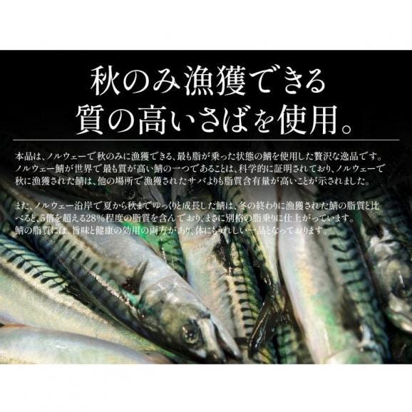 さば 無添加 無塩トロさば 切り身 業務用 大容量 サバ 鯖 約1.5kg (50枚）03