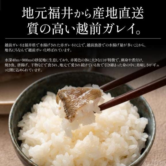 カレイ 高級 越前カレイ 切り身 1kg（約100g×10切）03