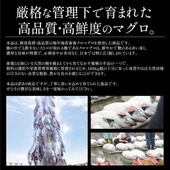 訳あり マグロ 本マグロ クロマグロ 2kg ブロック03