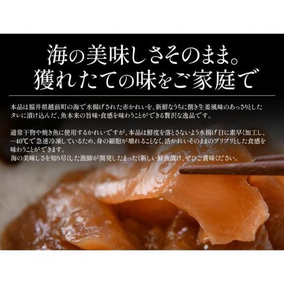 越前 カレイ 漁師飯 カレイ漬け 赤カレイ 越前産 約75g×5パック03