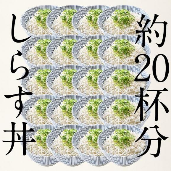 しらす シラス 釜揚げしらす 1kg 兵庫県産04