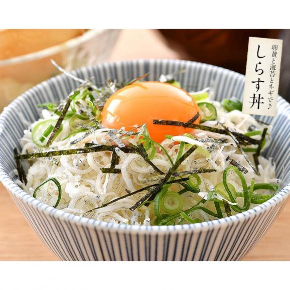 しらす シラス 釜揚げしらす 1kg 兵庫県産05