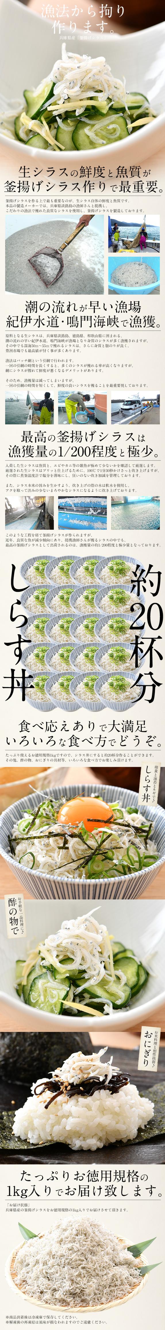 しらす シラス 釜揚げしらす 1kg 兵庫県産｜港ダイニングしおそうの