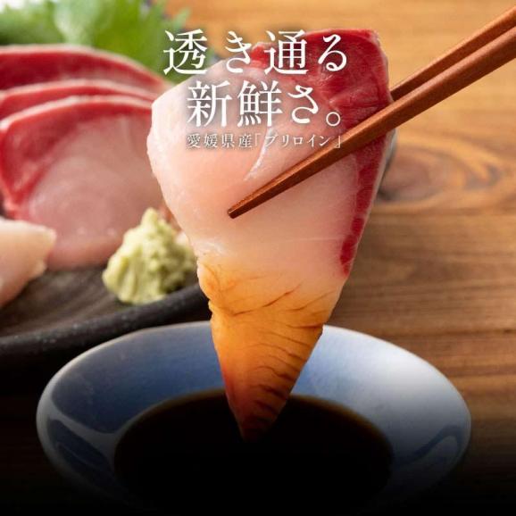 ぶり 刺身 ブリ ロイン 1kg 超冷薫 業務用 愛媛県産02