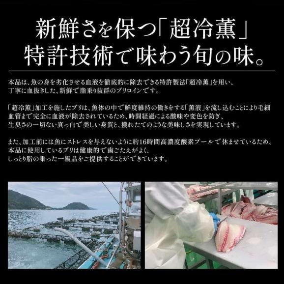 ぶり 刺身 ブリ ロイン 1kg 超冷薫 業務用 愛媛県産03