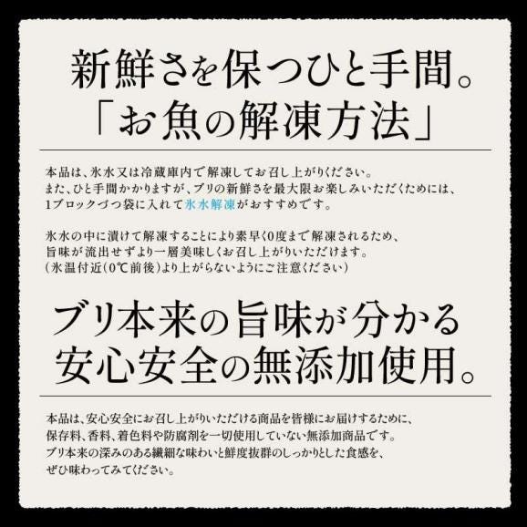 ぶり 刺身 ブリ ロイン 1kg 超冷薫 業務用 愛媛県産04