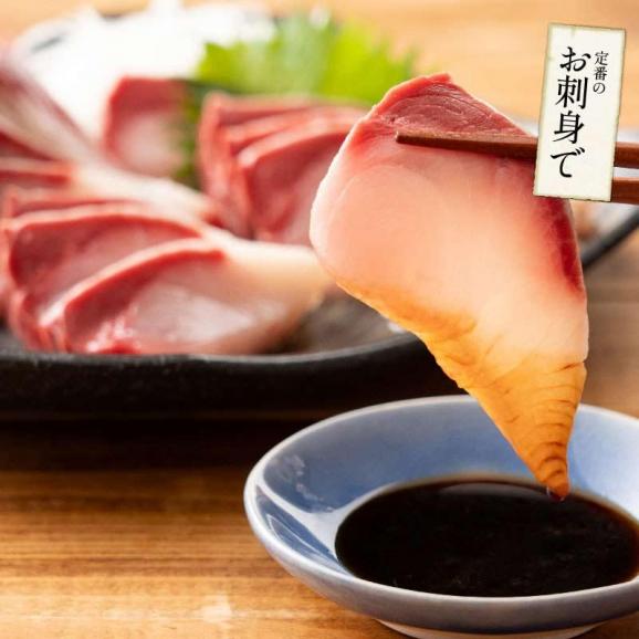 ぶり 刺身 ブリ ロイン 1kg 超冷薫 業務用 愛媛県産05