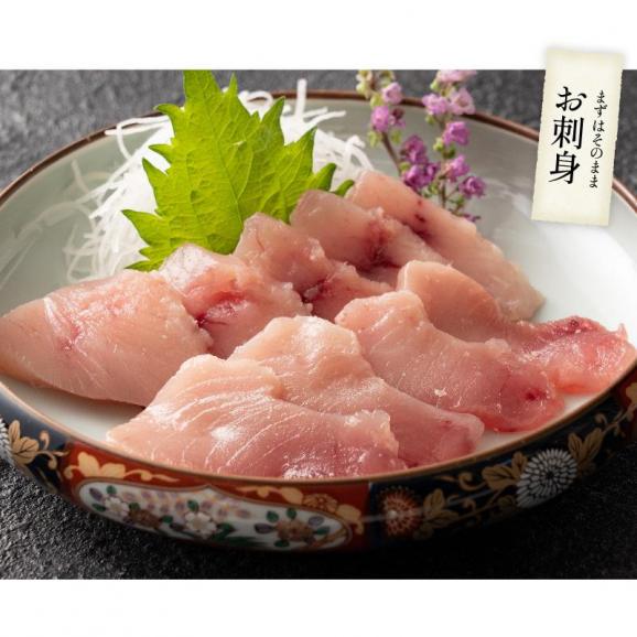 訳あり びんちょう鮪 3kg まぐろ 鮪 徳用 びんちょうまぐろ04