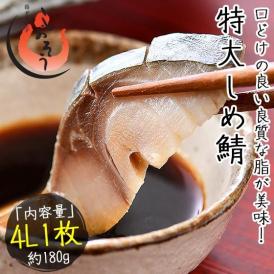 しめ鯖 特大 4L 約180g前後×1枚 しめさば